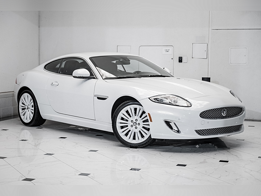 Expert Panel Showdown: Which Vehicle is Right for You?