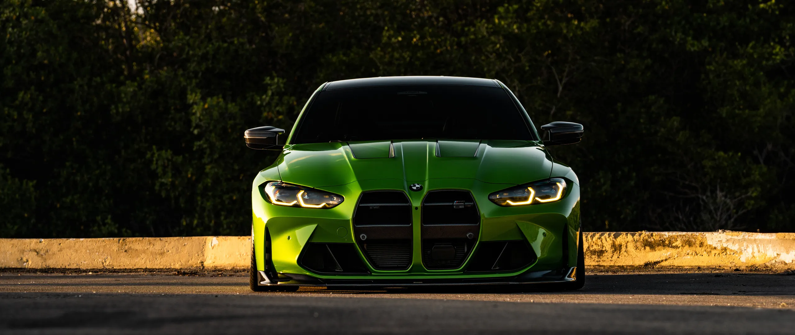 The BMW and European specialists. By appointment only