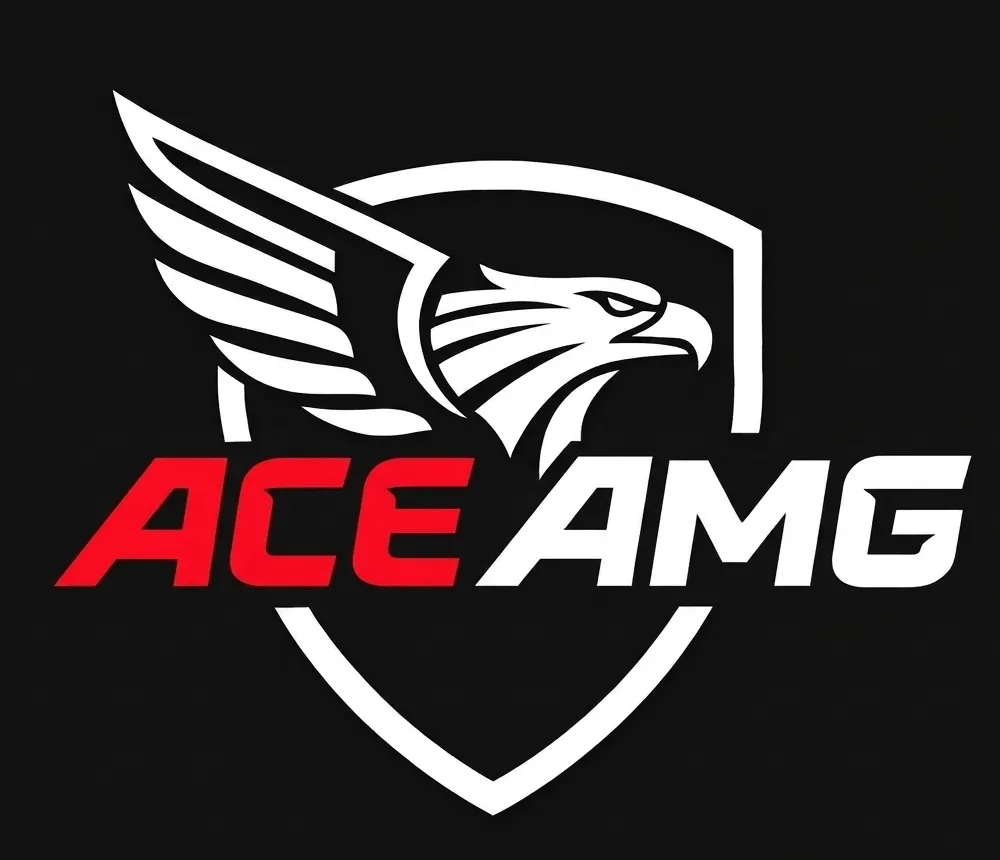 Ace Motor Group LLc