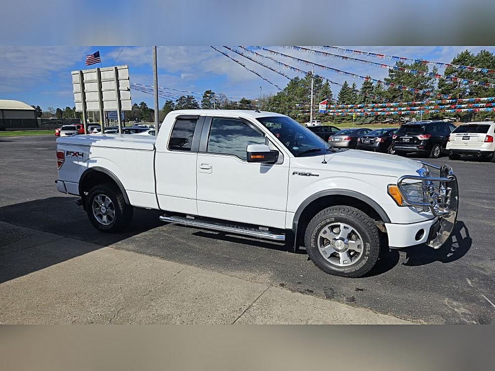 Which FORD Are You?