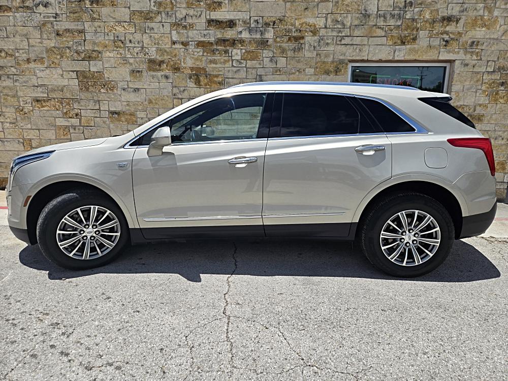 A Day in the Life: Behind the Scenes of Our SUV Showroom