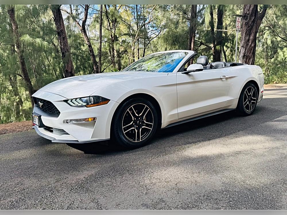 Why the 2020 FORD MUSTANG ECO PREMIUM Stands Out 🌟