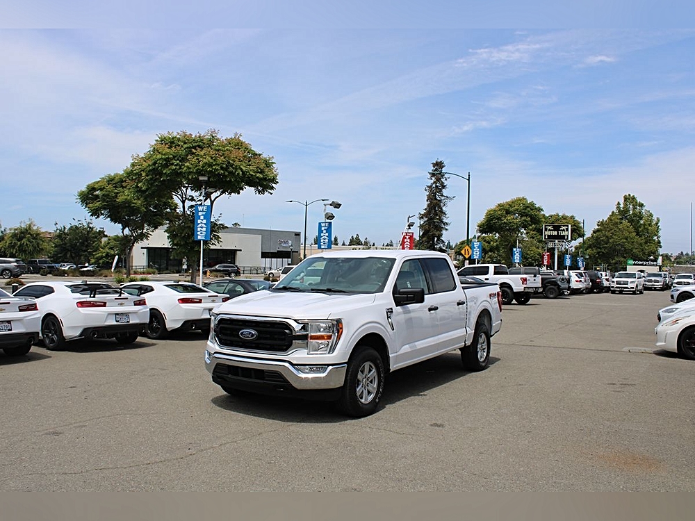 Find Your Story with Ford: Three Journeys, Three Standout Choices