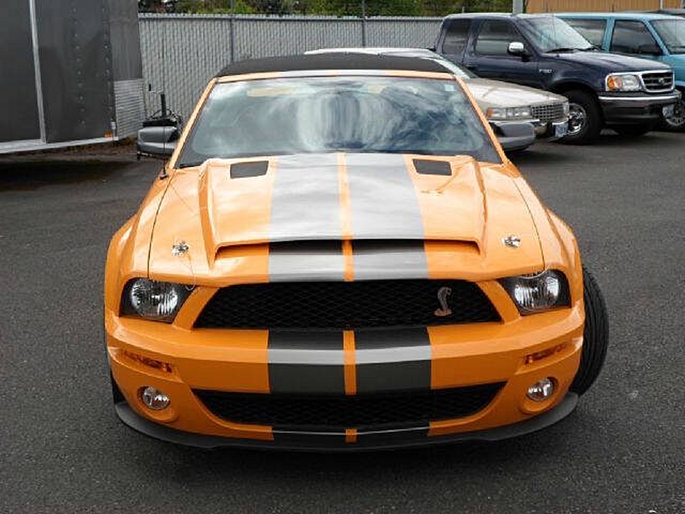 🚗 3 Ways to Drive Better: The Ford Shelby GT500, Bronco, and Escape Showdown!