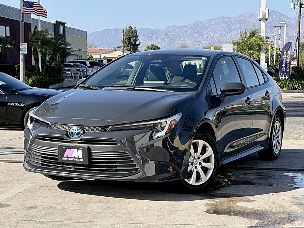 Discover the Widest Selection of European Brands in Town!