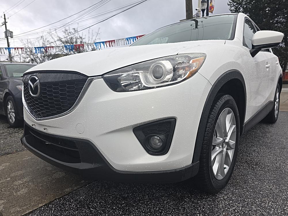 Deep Dive: Which One Belongs in Your Driveway?