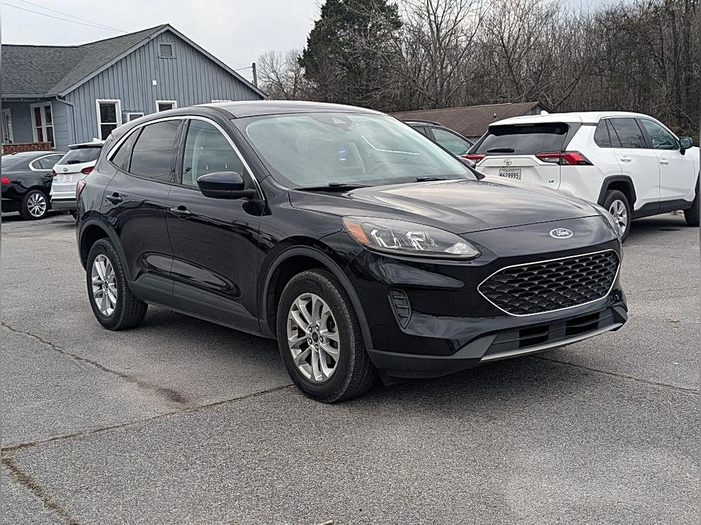 🏆 The Showroom Verdict: Picking Your Perfect Ford at Rief Auto Dealers
