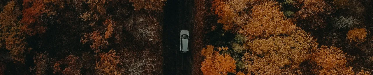 Aerial view of a Mercedes-Benz driving through autumn forest
